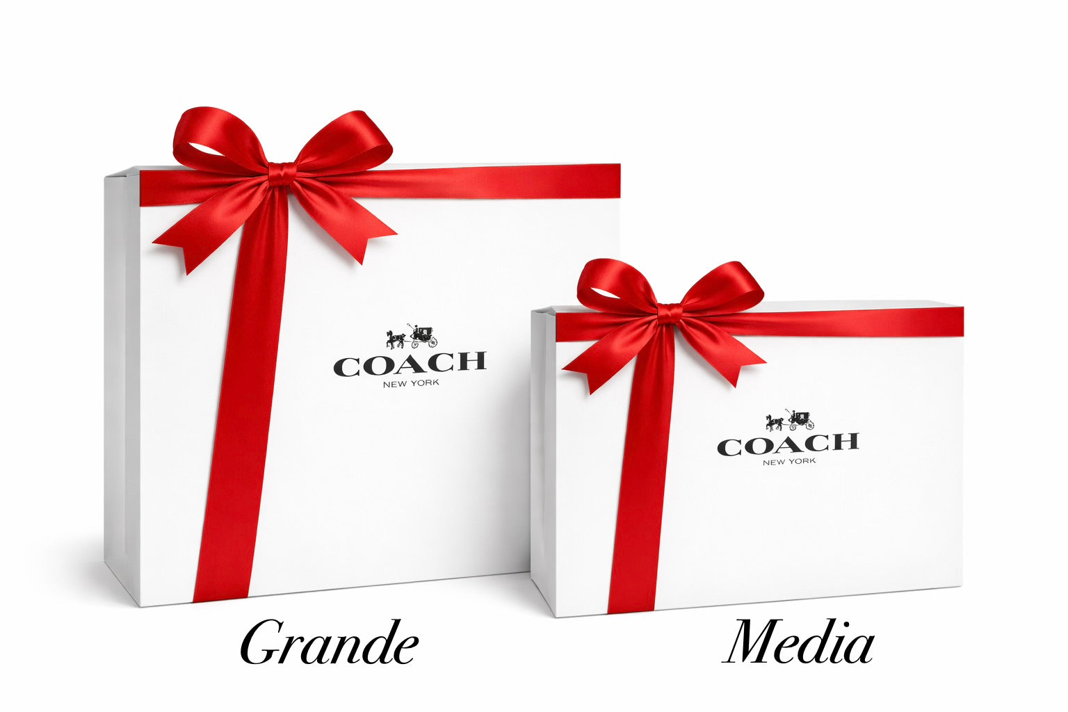 Caja Coach Para Regalo