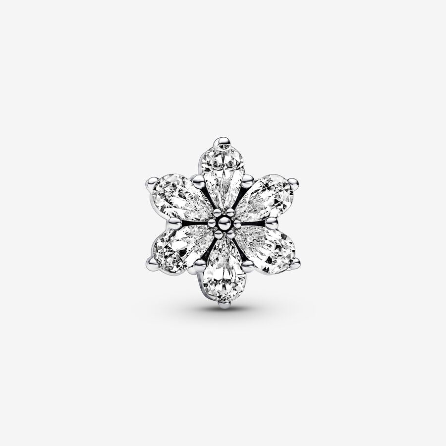 Charm Herbario Brillante