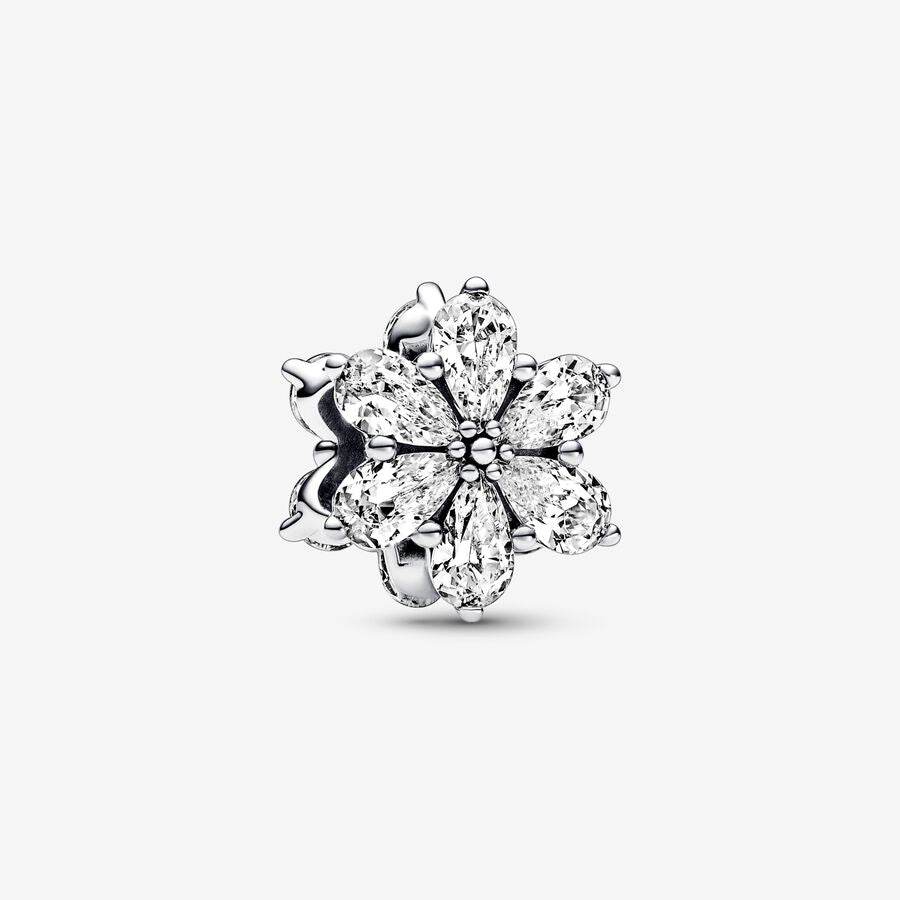 Charm Herbario Brillante